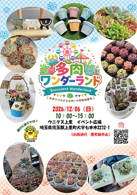 12/6（日）多肉ワンダーランド