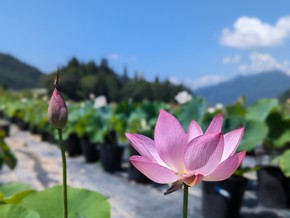 高崎カルチャーセンター