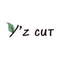 Y'z cut